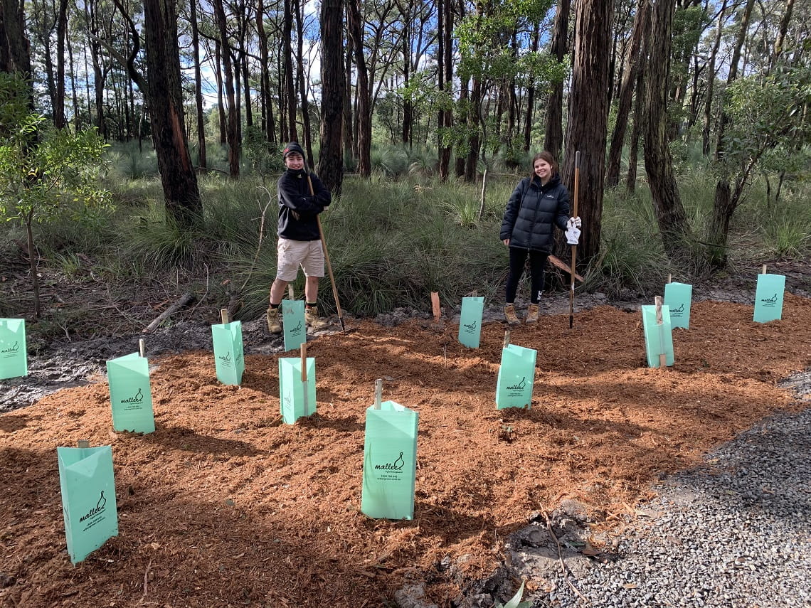 Two students from the Gordon Institute of TAFE planting seedlings at the Dementia Friendly Forest and Sensory Trail in Woowookarung Regional Park