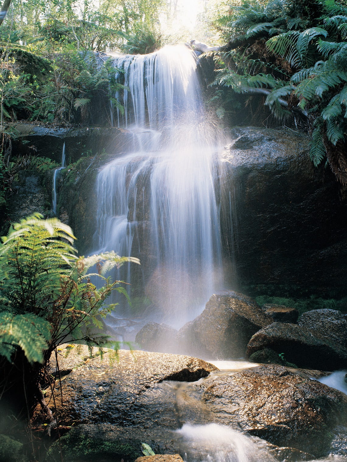 Ferntree Falls Mount Buangor State Park