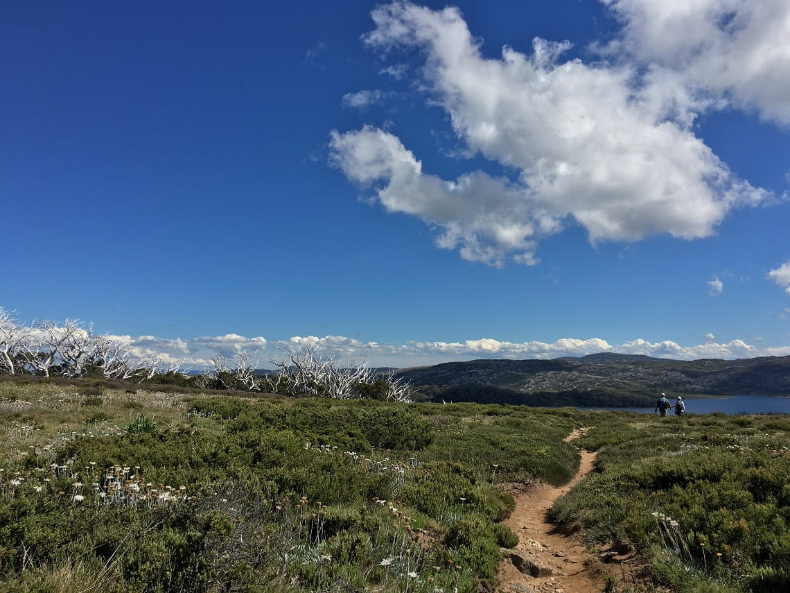 Two hikers walk the Falls to Hotham Alpine Crossing