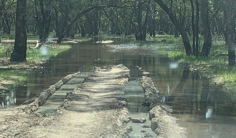 Illegal activity damages sensitive landscapes in Gunbower National Park