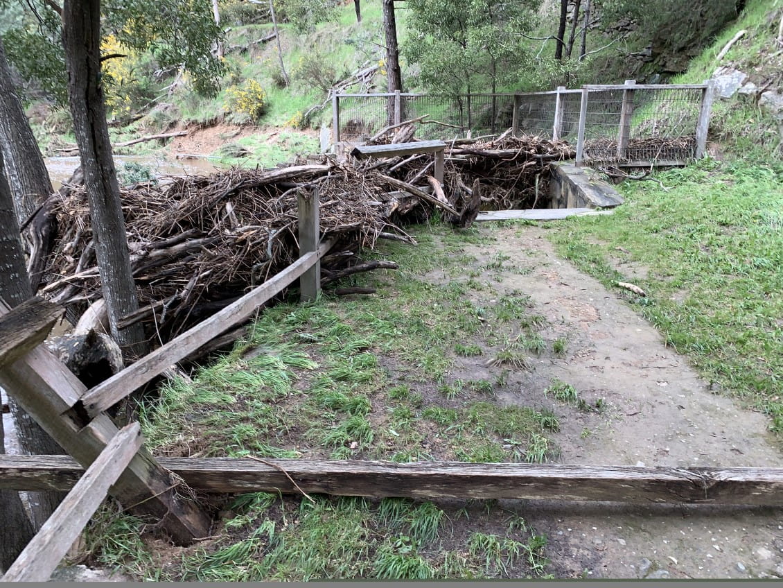 Tree trunks and branches piled up on a wooden handrail