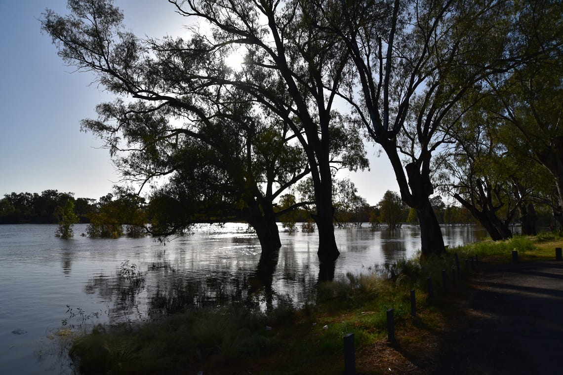 Floodwater in the proposed Murray River Park Apex Bend.
