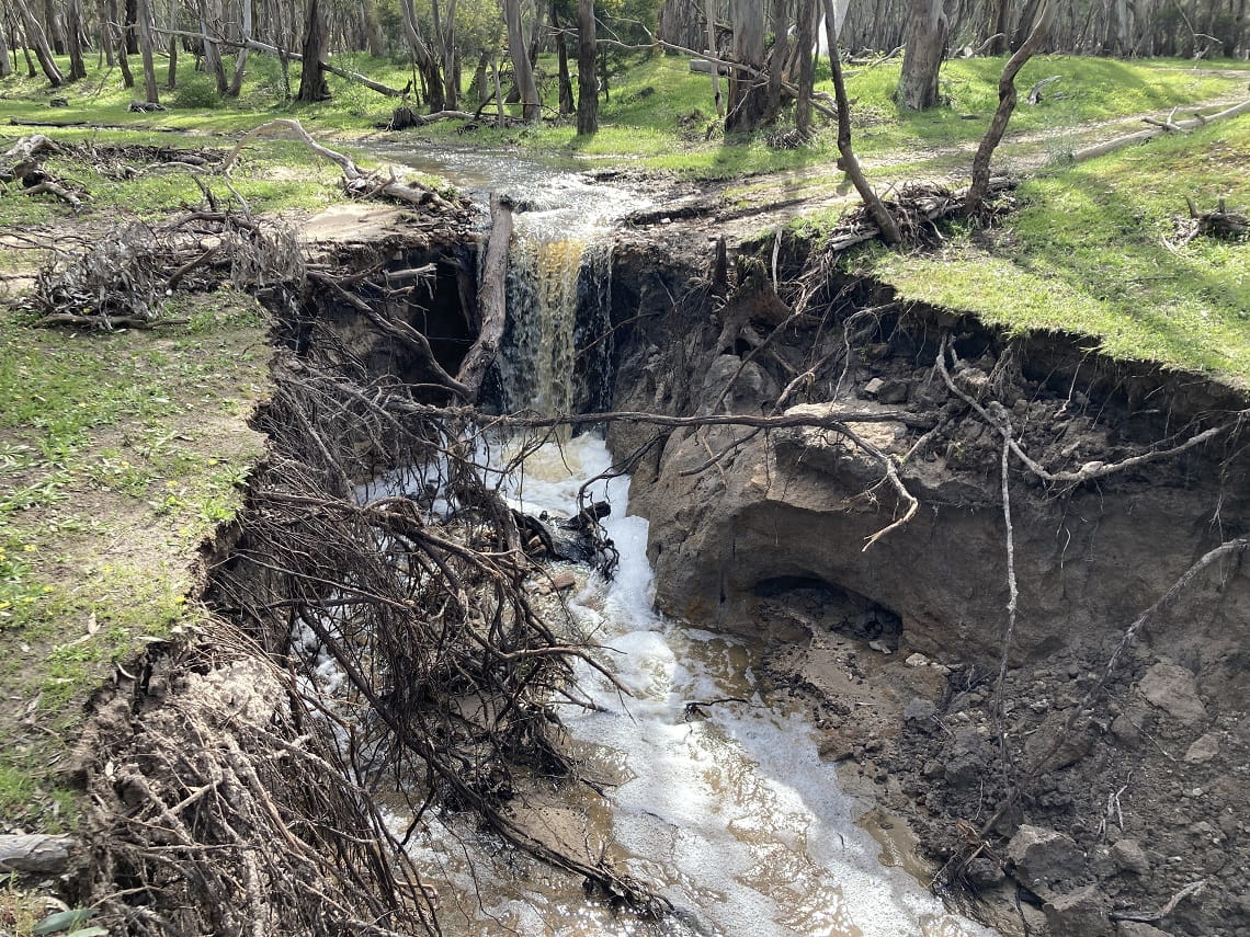 At Kooyoora State Park (above) Djaara Country, ground saturation has caused an ongoing sinkhole risk. 