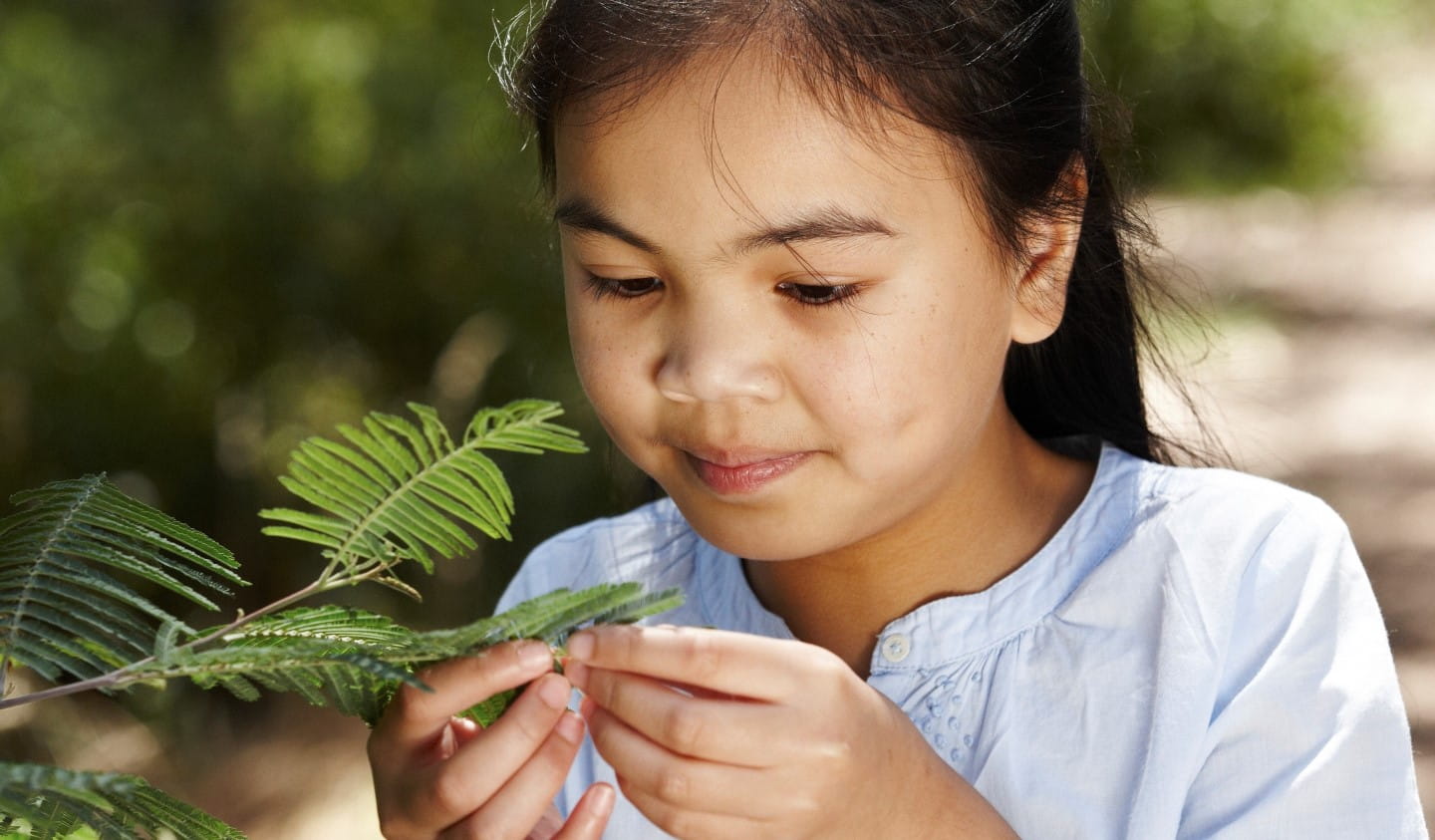 Nature can be experienced through touch