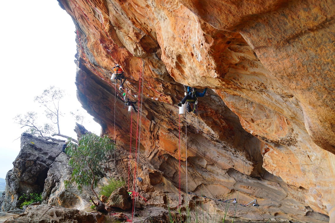 Rehabilitation work in a Gariwerd Rock Art shelter with specialist rope access technicians from the climbing community working at height.