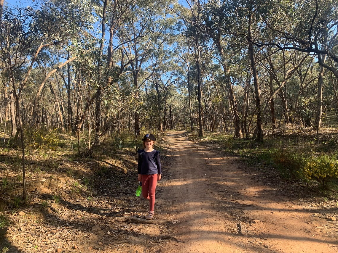 Child walking along bush track in Greater Bendigo National Park Box-ironbark forest