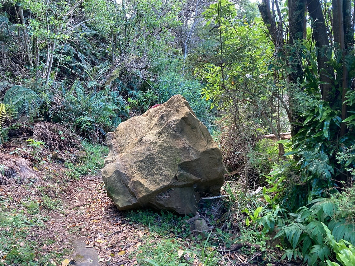 A large boulder lying across a track through coastal bushland