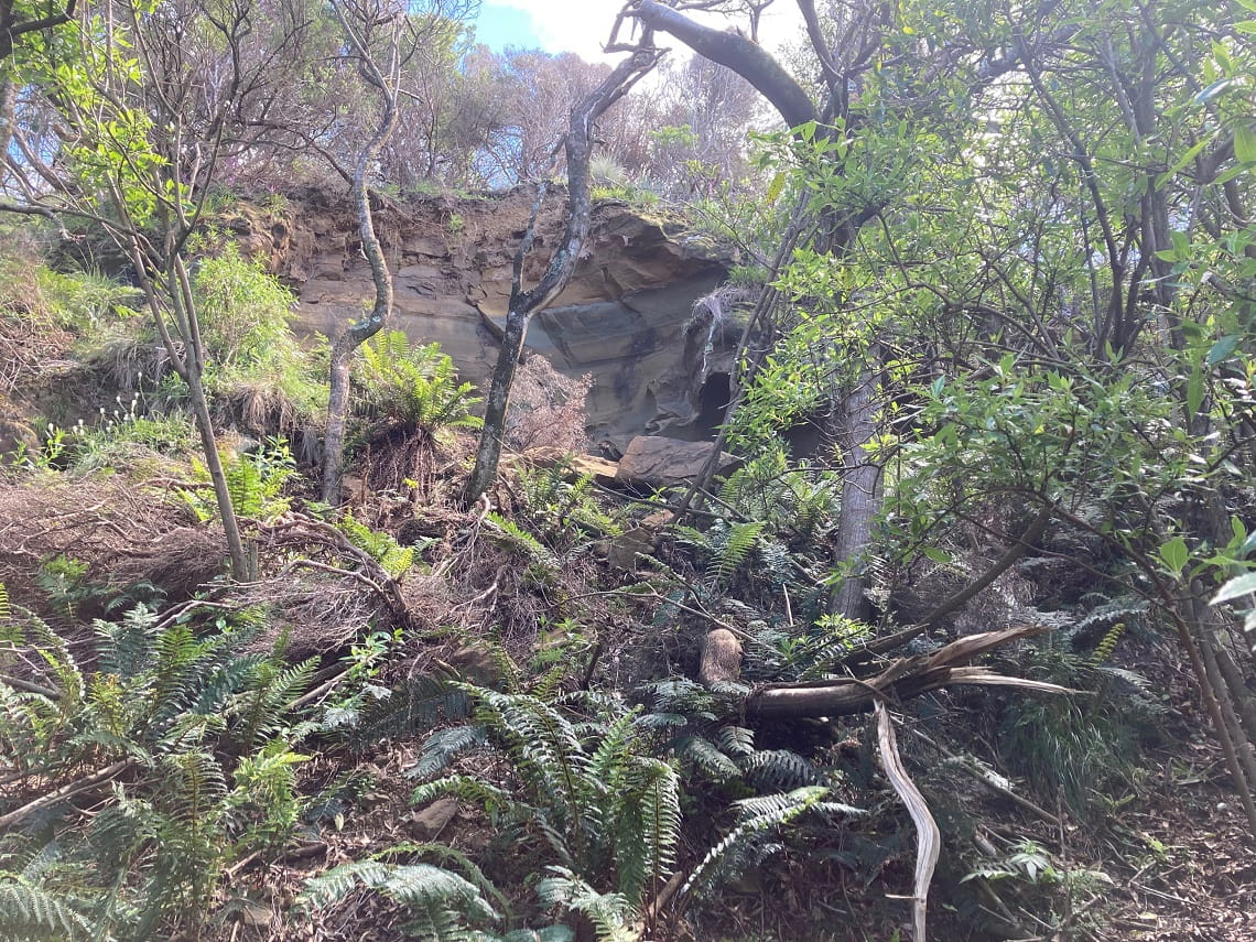 A cliff landslide in coastal bushland on the Great Ocean Walk