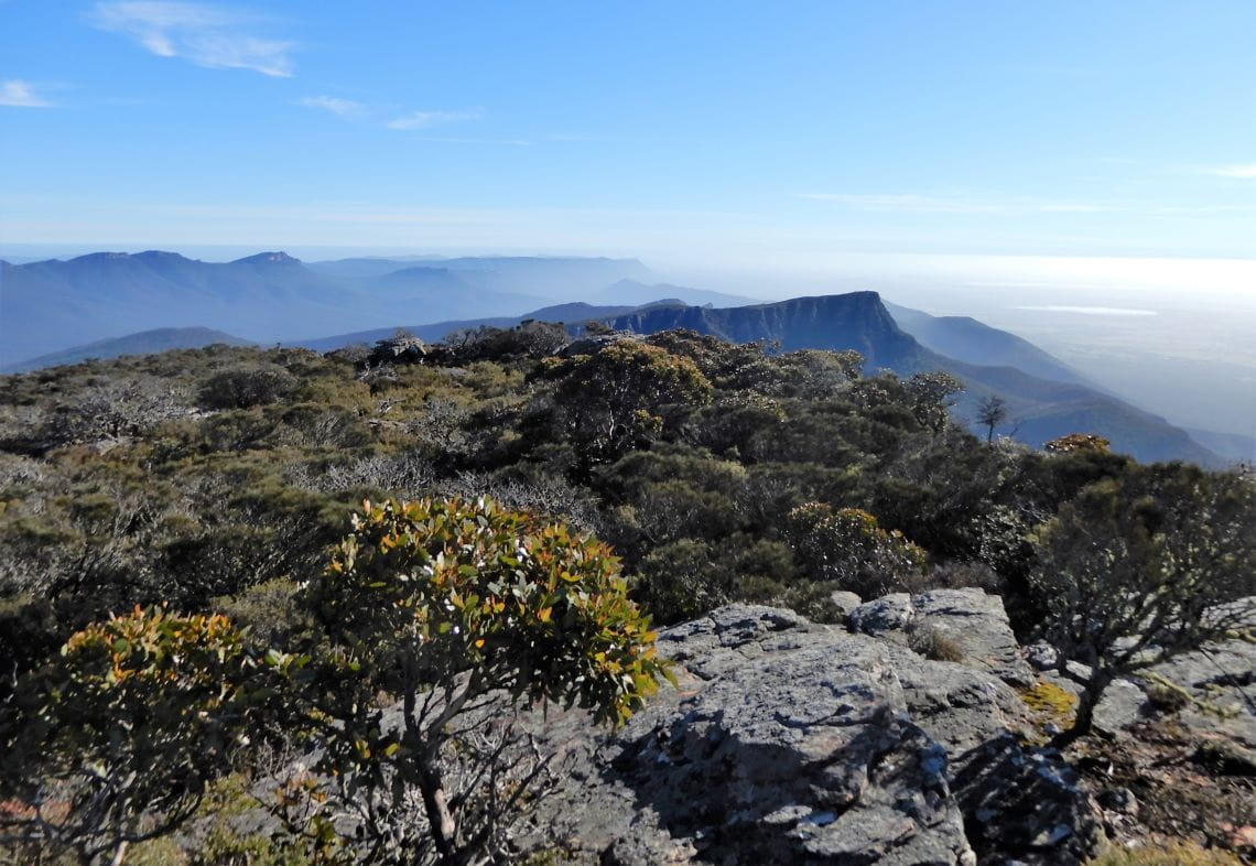 Mountains and bush in the foreground with peaks and clouds behind