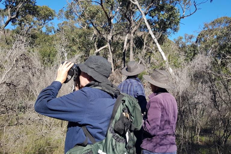 3 Volunteers surveying for birds in the Grampians