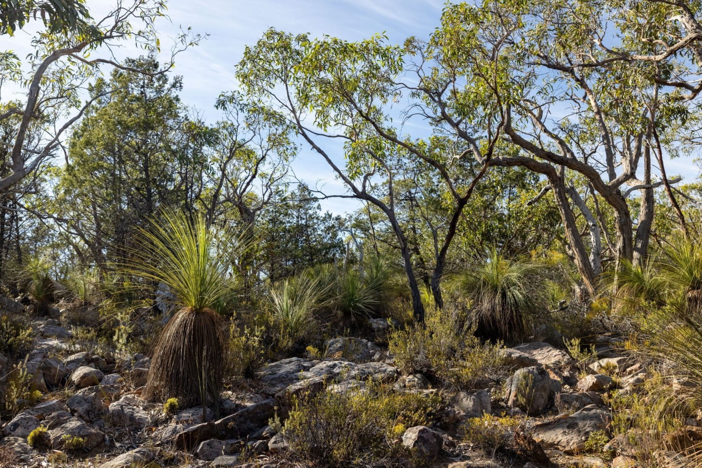 The Grampians is stacked with rugged, yet beautiful, scenes like this.