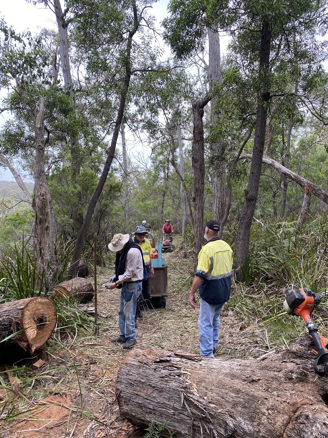 The Friends of the Great South West Walk working  to clear tracks
