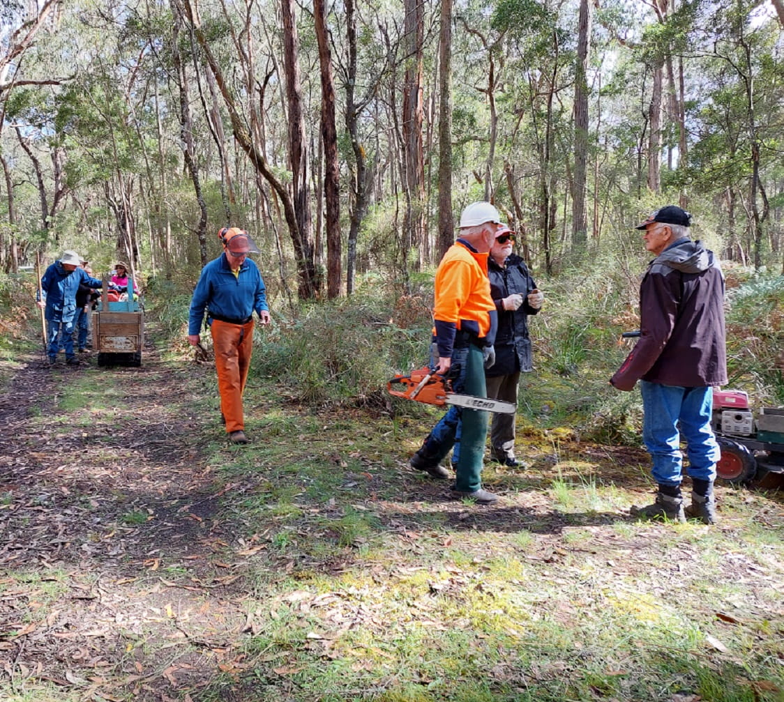 Tuesday crew from the Friends of the Great South West Walk