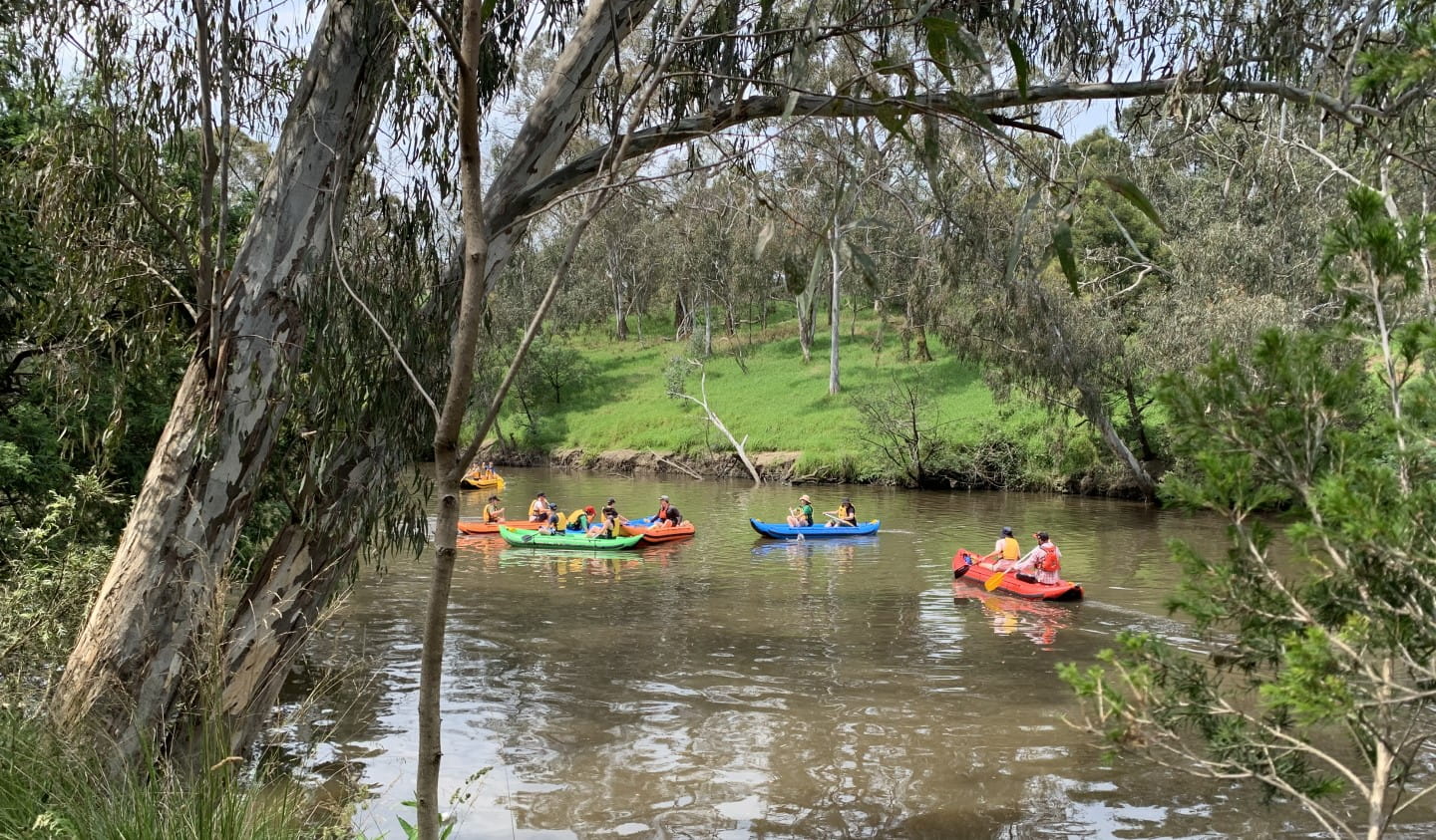 A group of young people in kayaking in Yarra Bend Park