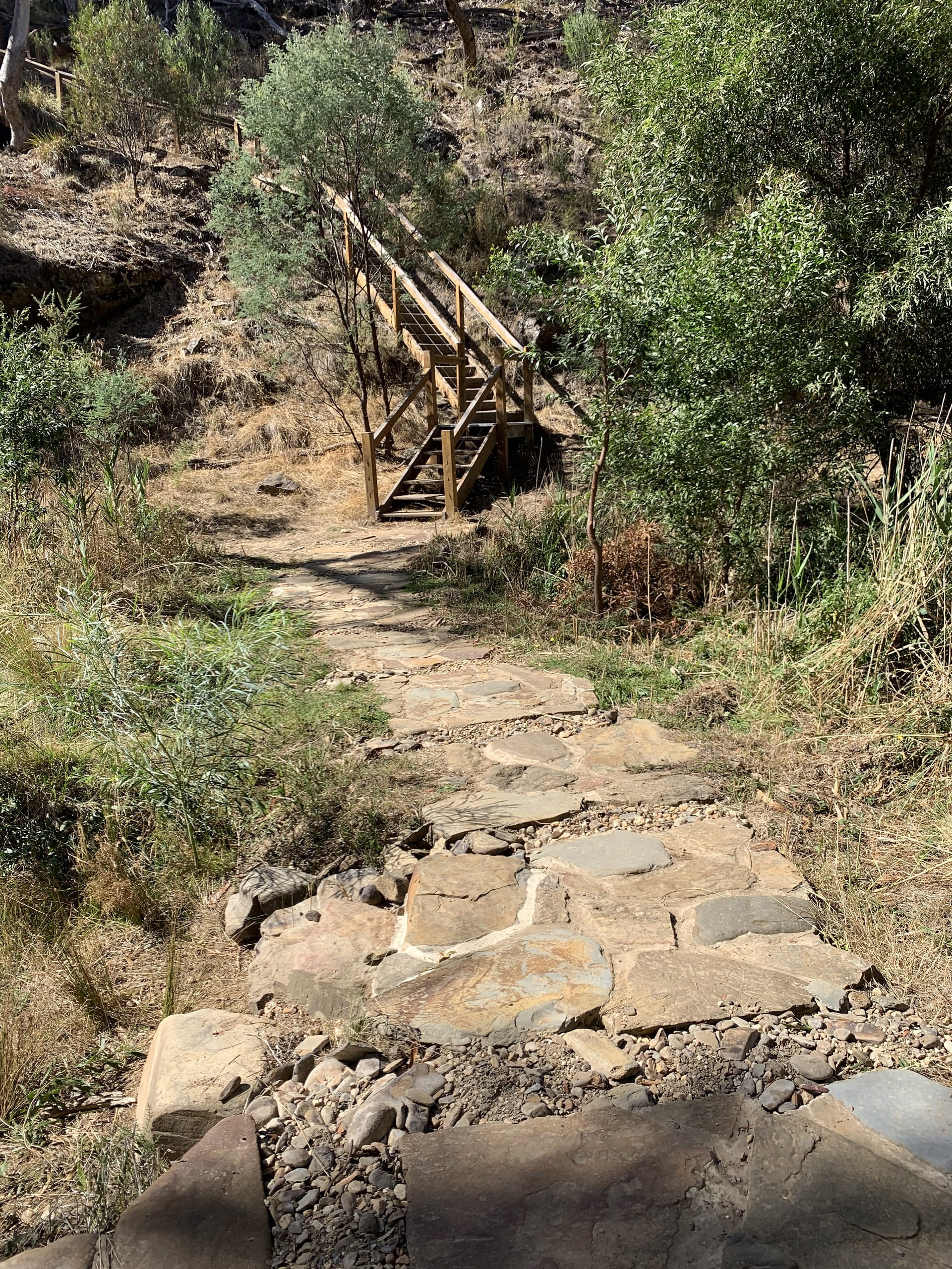 Walking tracks in Hepburn Regional Park have reopened following flood recovery repairs at the Blowhole and Bryces Flat