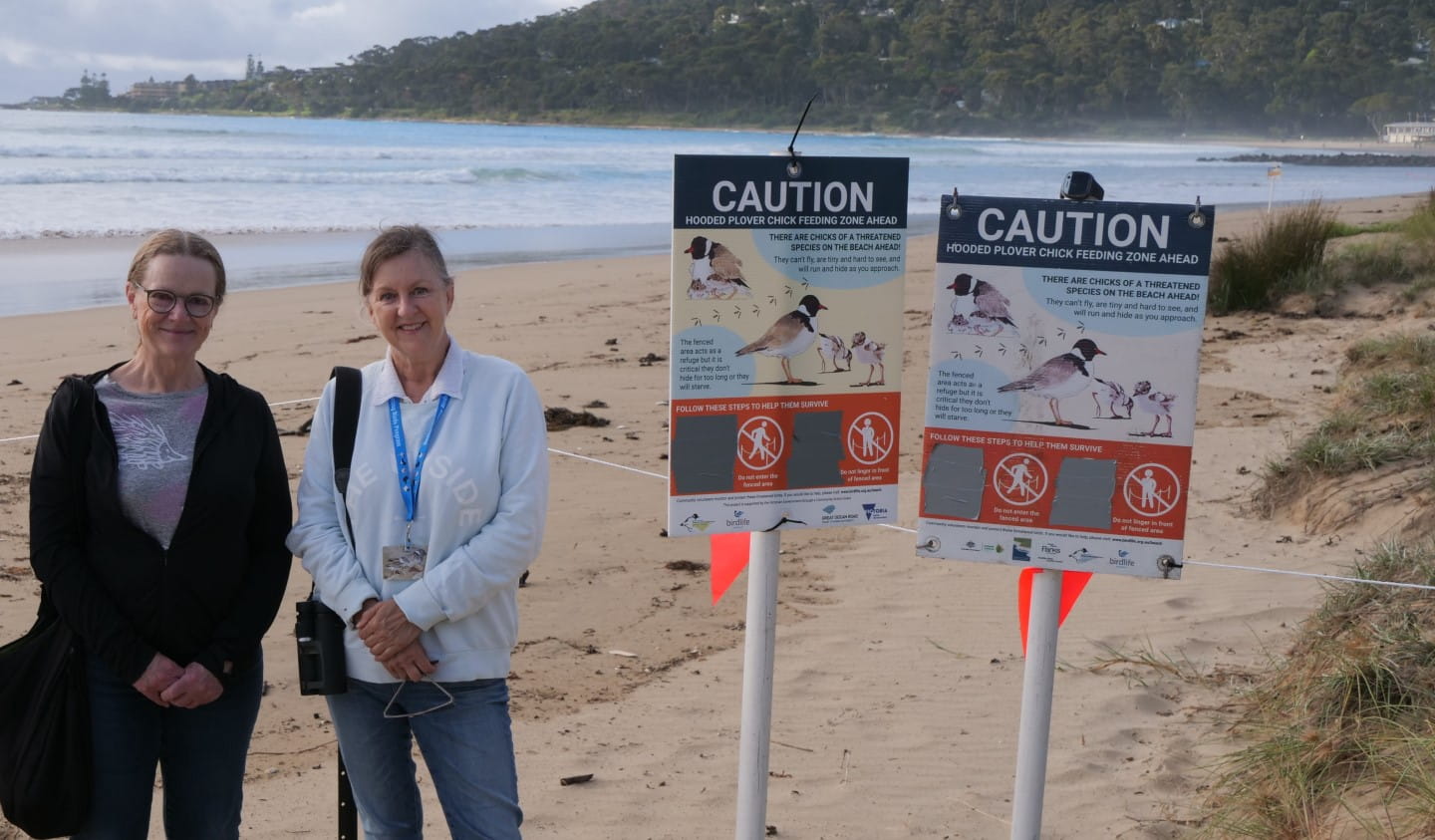 Friends of Hooded Plover Surf Coast volunteers Bron Ives and Amanda Place