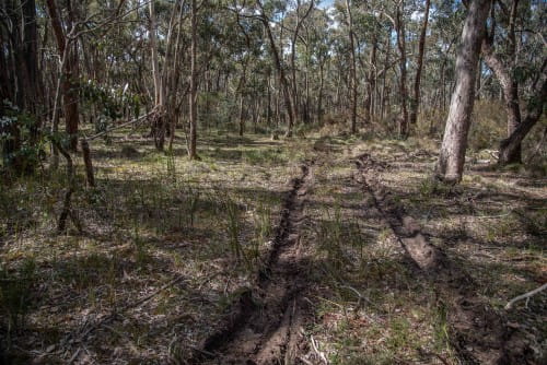 Landscape with car tyre marks across the ground