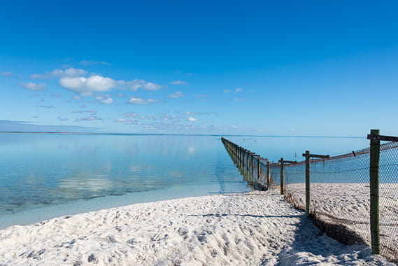 A chain link fence on a white sand beach stretches out into blue ocean water