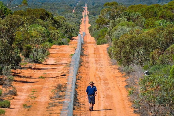 A man walks alongside a long chain link fence on red sand with green shrubbery either side