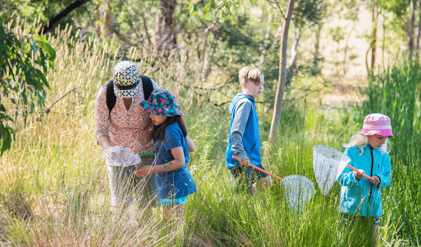 An adult assists children using nets in tall grass near a wetland area on a sunny day