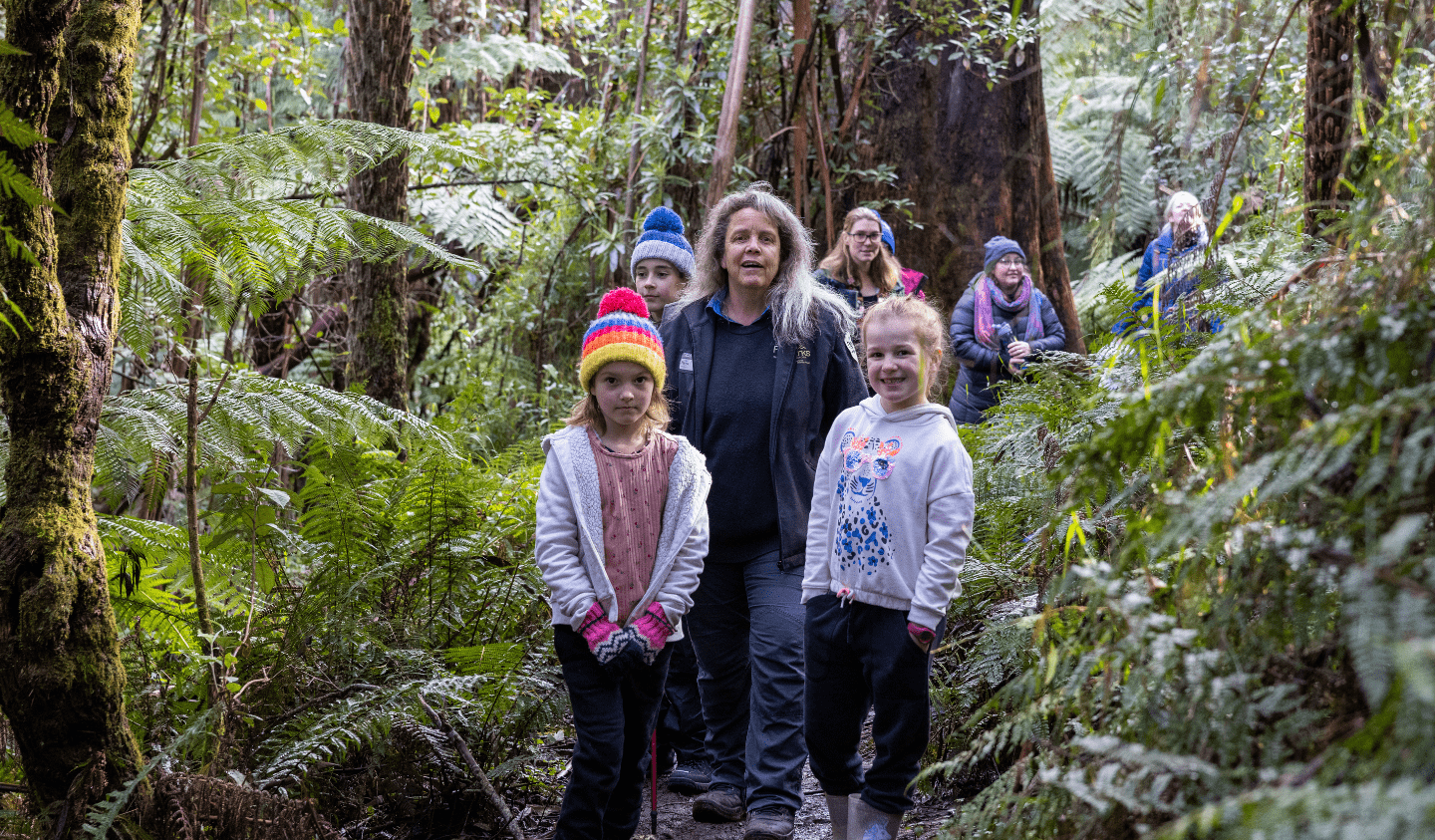  A ranger leads children and adults along a narrow rainforest trail surrounded by ferns and tall trees