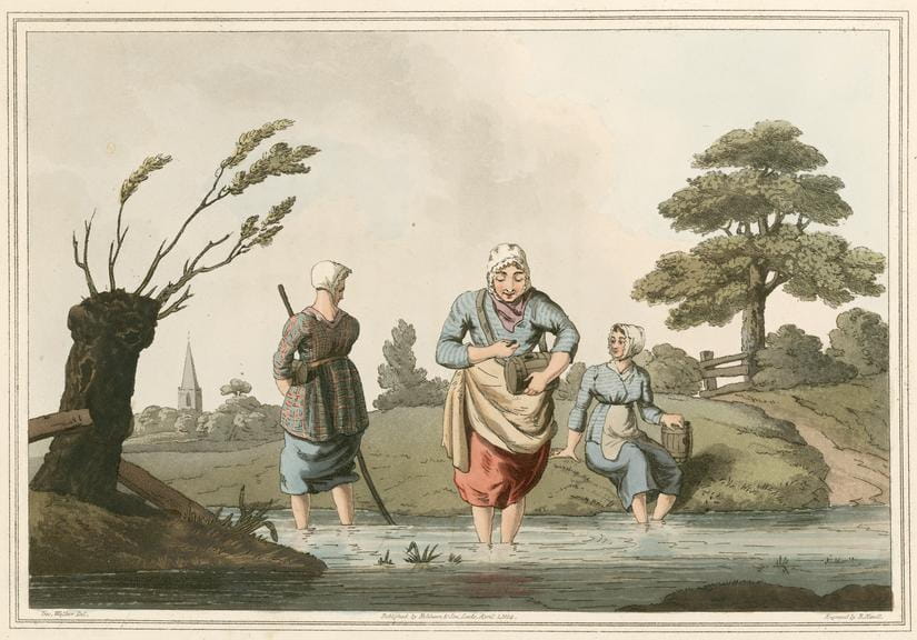 An engraving: three women wade in a pond, gathering leeches into pots.