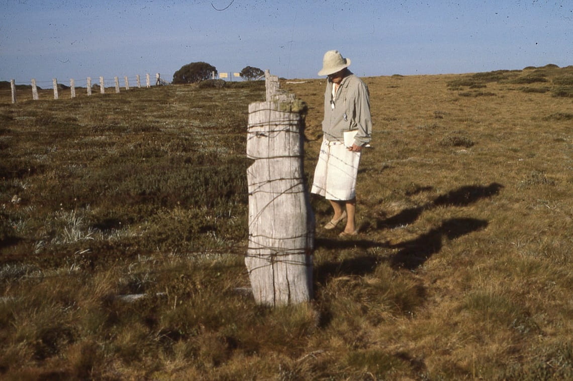 Stella Grace Maisie Fawcett (later Mrs Maisie Carr 1912-1988) was a botanist whose work with soil erosion revolutionised farming and grazing practices throughout Victoria’s High Country, setting up what would become one of the longest continual grassland monitoring projects in the world. Maisie’s Plots are still in use today