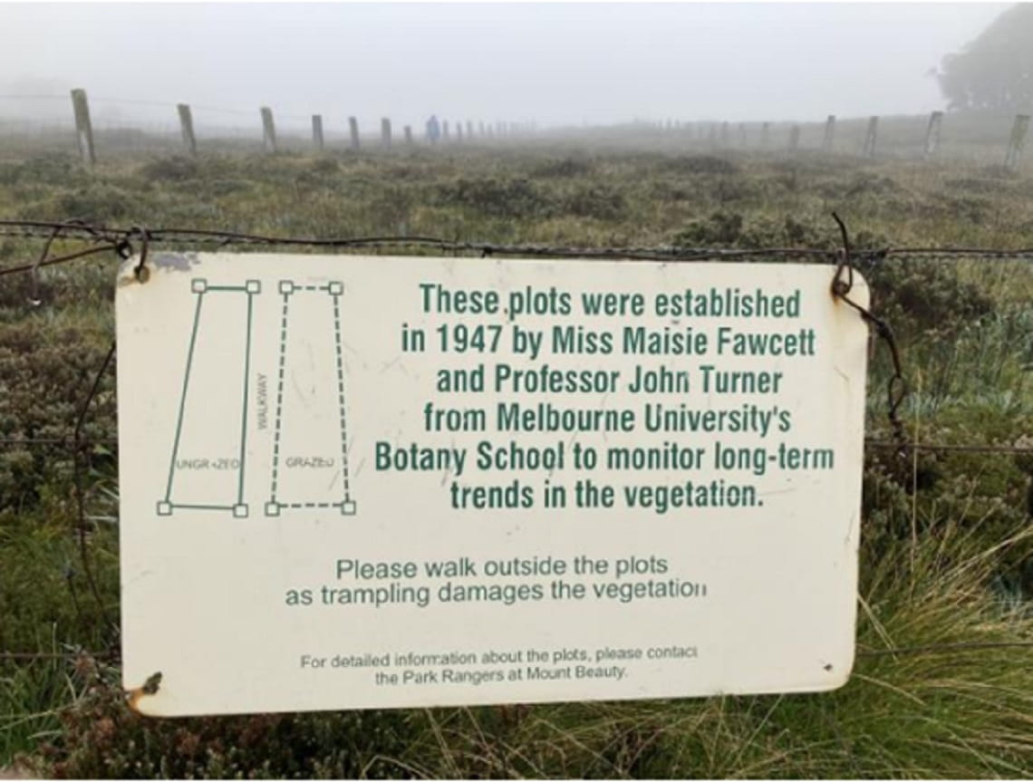 Heritage Victoria interpretive sign for Maisie's Plots listed as significant to the state of Victoria in August 2022