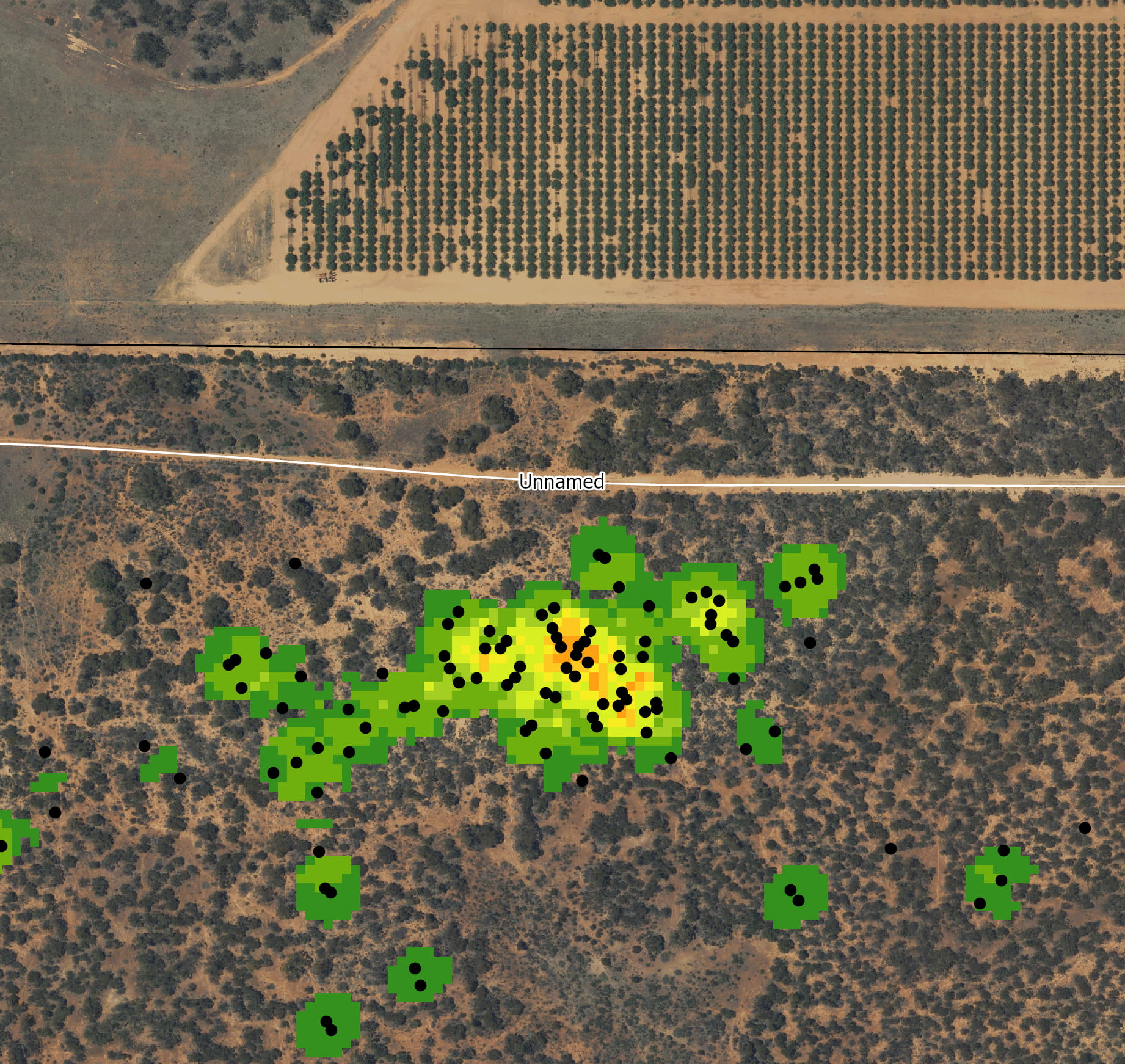 Aerial image with coloured markings showing where the densest spinifex is