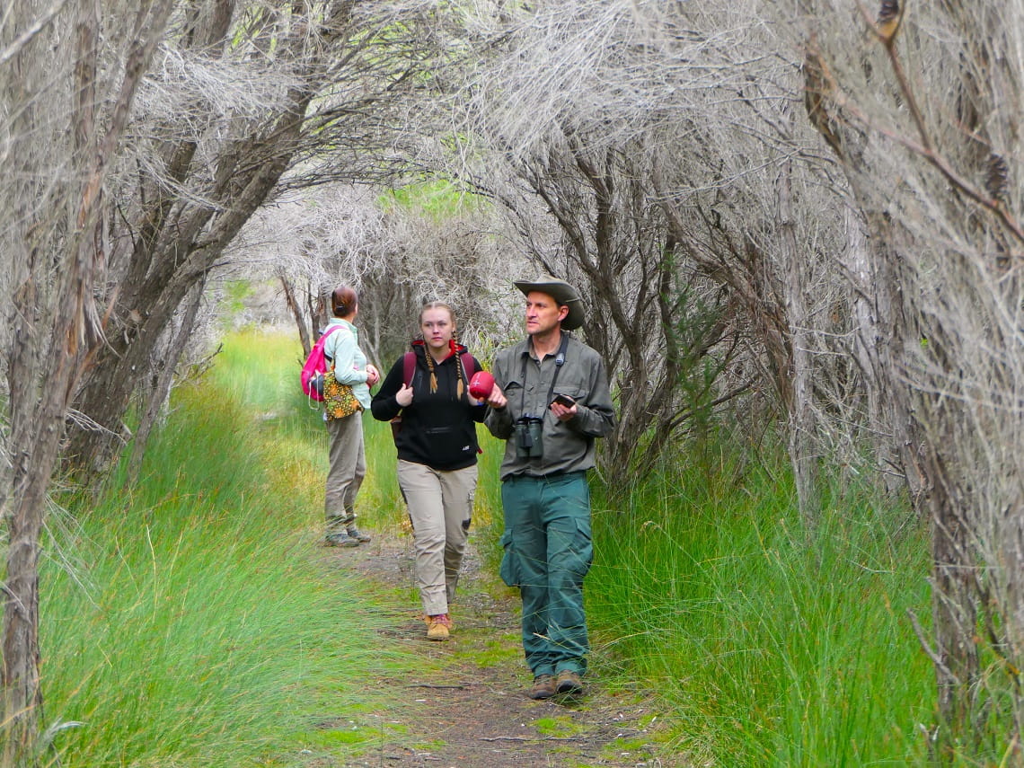 Playing bird calls to attract bristlebirds to the areas