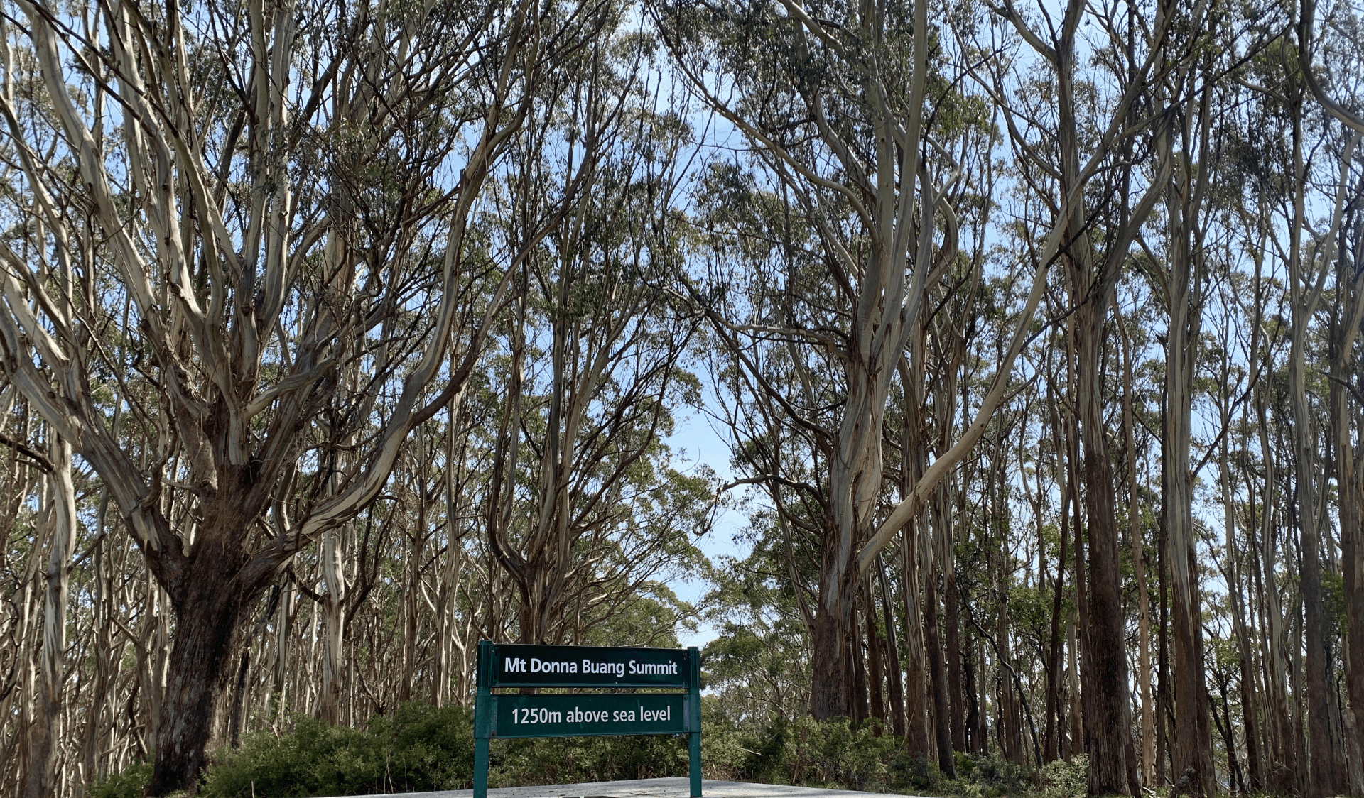 Mount Donna Buang summit signage