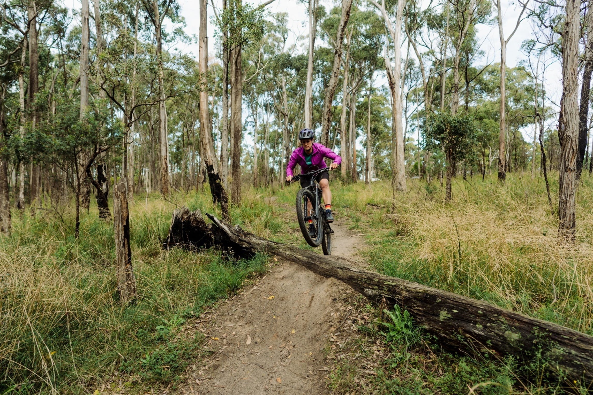 A person using a bike is jumping over a log