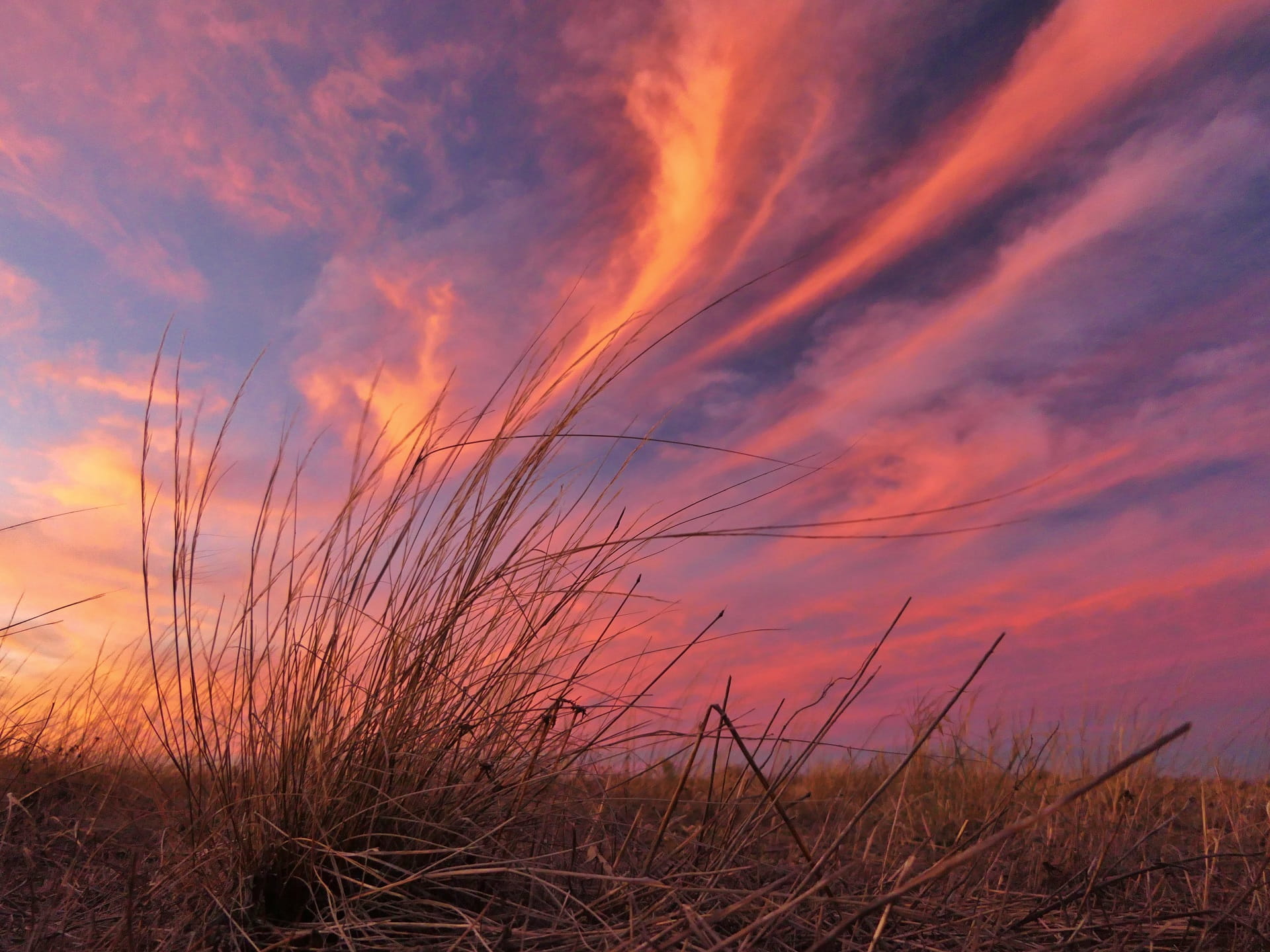 Watching the sun set over Bael Bael Grassland Nature Conservation Reserve