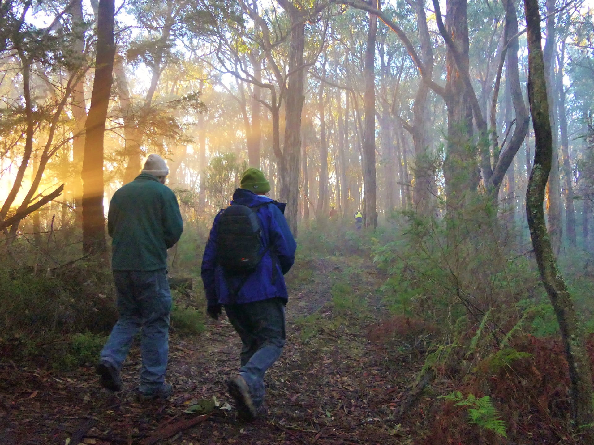 Parks Victoria staff conducting conservation work at Warramate Hills Nature Conservation Reserve