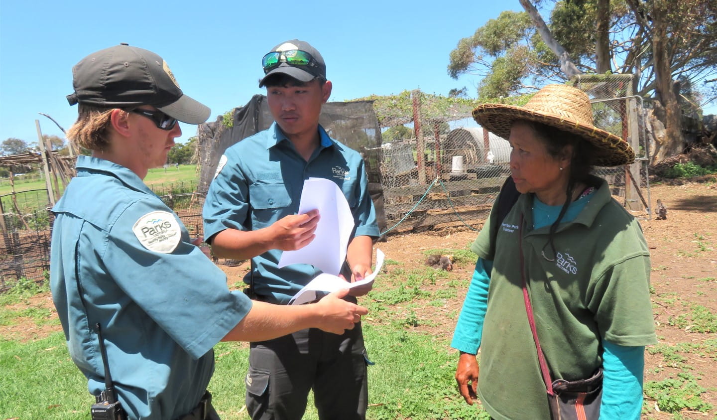 The Werribee Park ranger team work closely with the Karen volunteers in the community garden.