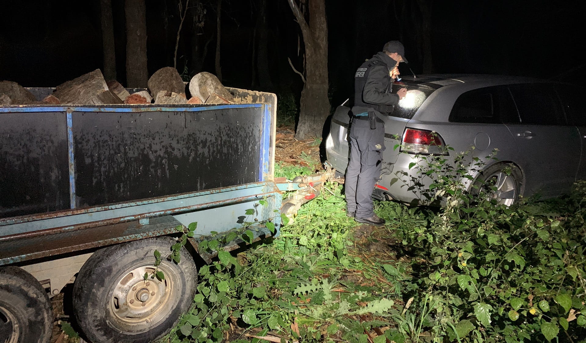 Authorised Officers seize illegally cut river red gum as part of Operation Goulburn