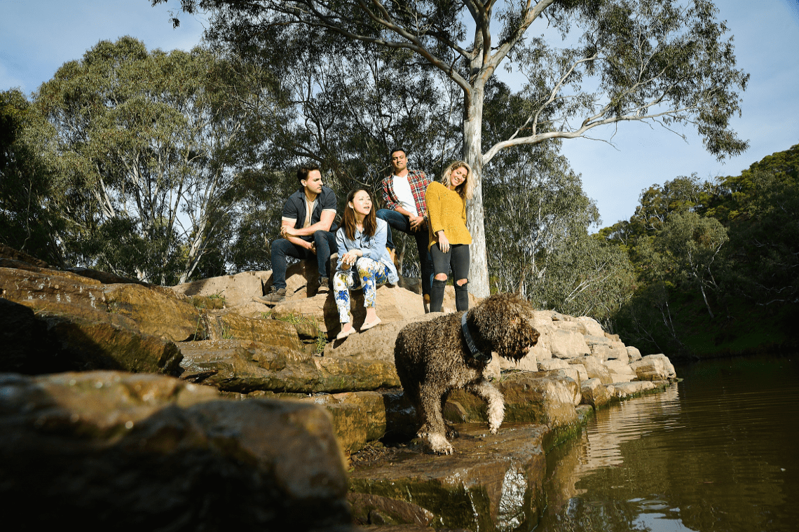 A dog is at the water's edge, with people laughing behind the dog. 