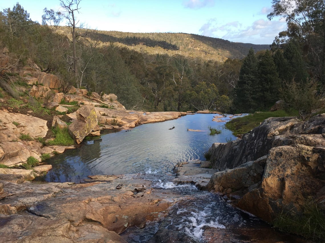 View of Pine Gully in Warby Ovens National Park