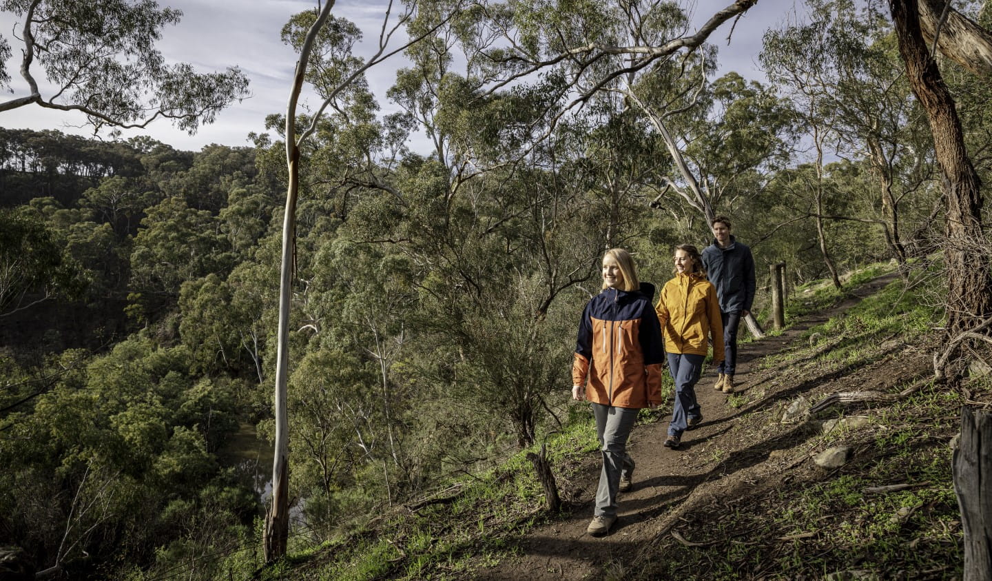 Plenty Gorge Parklands is a great place to walk.