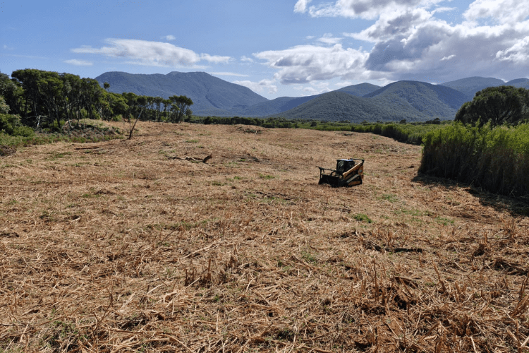 A wide, open field covered in freshly mulched or cleared vegetation stretches toward a backdrop of rolling, forested mountains. In the mid-ground, a small yellow skid-steer loader sits on the cleared area, with taller, dense vegetation lining the right edge and a cluster of trees on the left. The sky above is bright blue with scattered white clouds, casting even daylight across the landscape.
