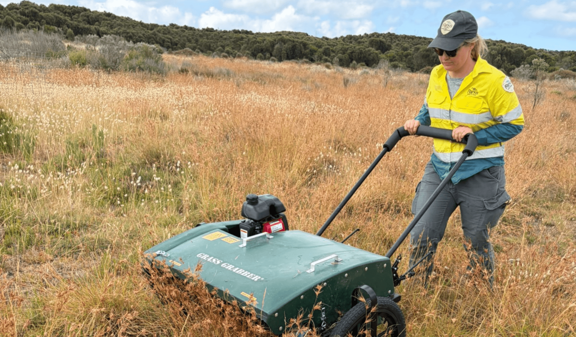A ranger pushing a seed collecting machine in long, dry grass