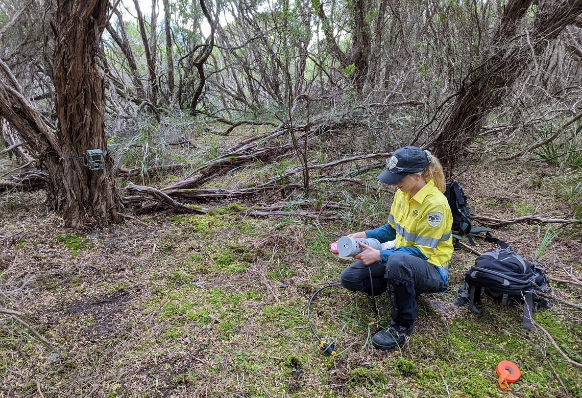 A woman crouching down on the ground holding a bait station (a piece of plastic pipe, sealed except for holes drilled into its side) 