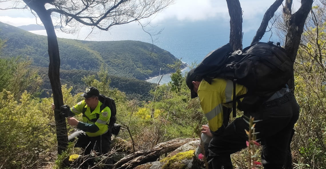 Two people setting up remote monitoring cameras in bushland high above the park, with rolling green hills and clear blue ocean water far below them in the background.