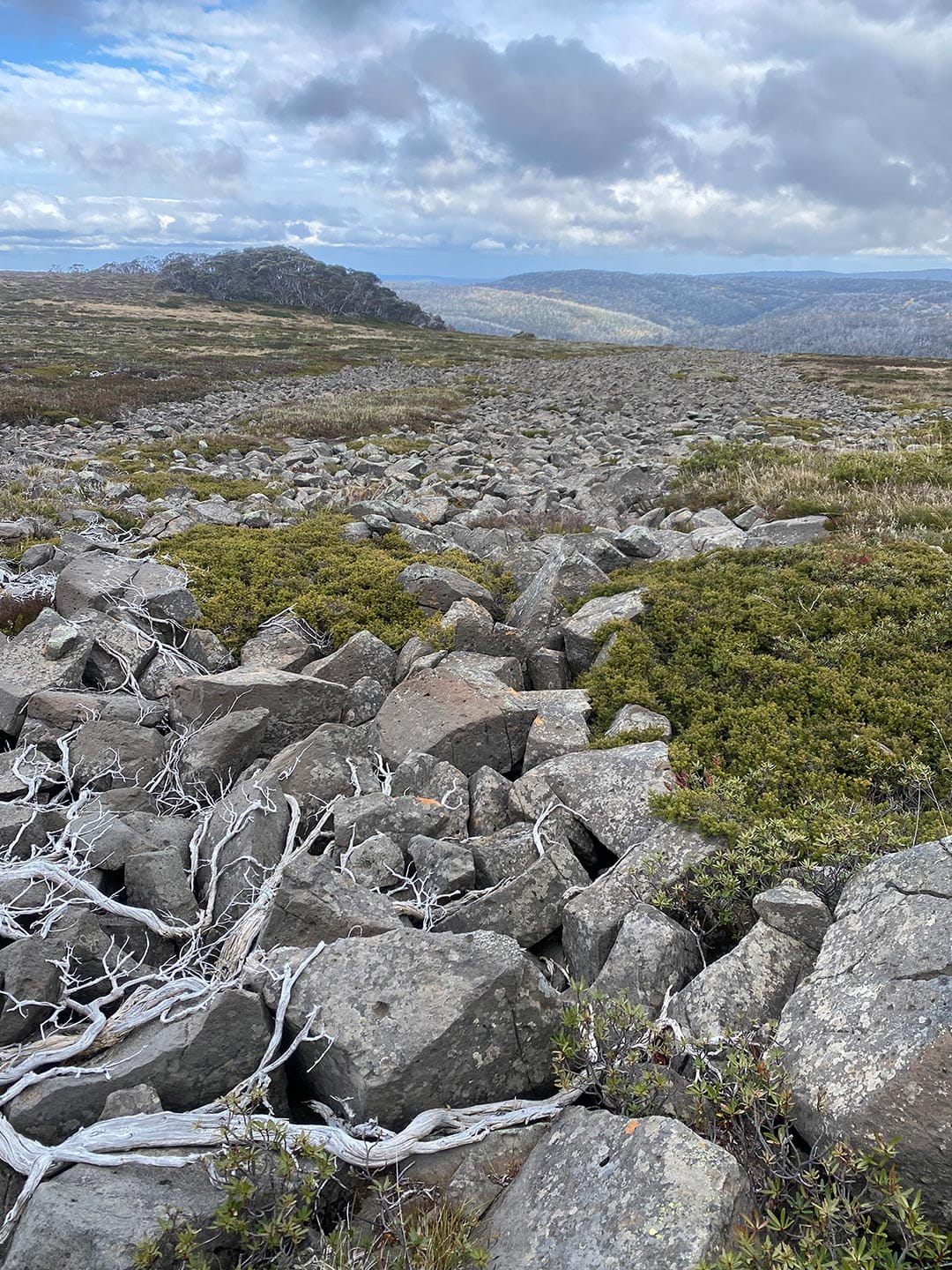 Rocks and vegetation at Mt Bundara