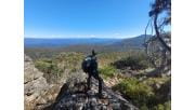 Ranger Jo with her back to the camera, stands on a rock and looks out across the Victorian alps