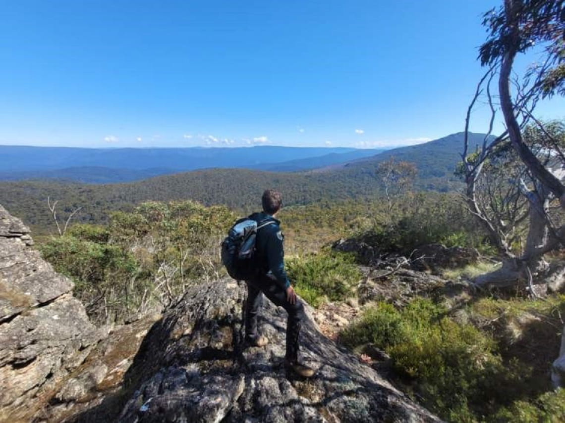 Ranger Jo with her back to the camera, stands on a rock and looks out across the Victorian alps