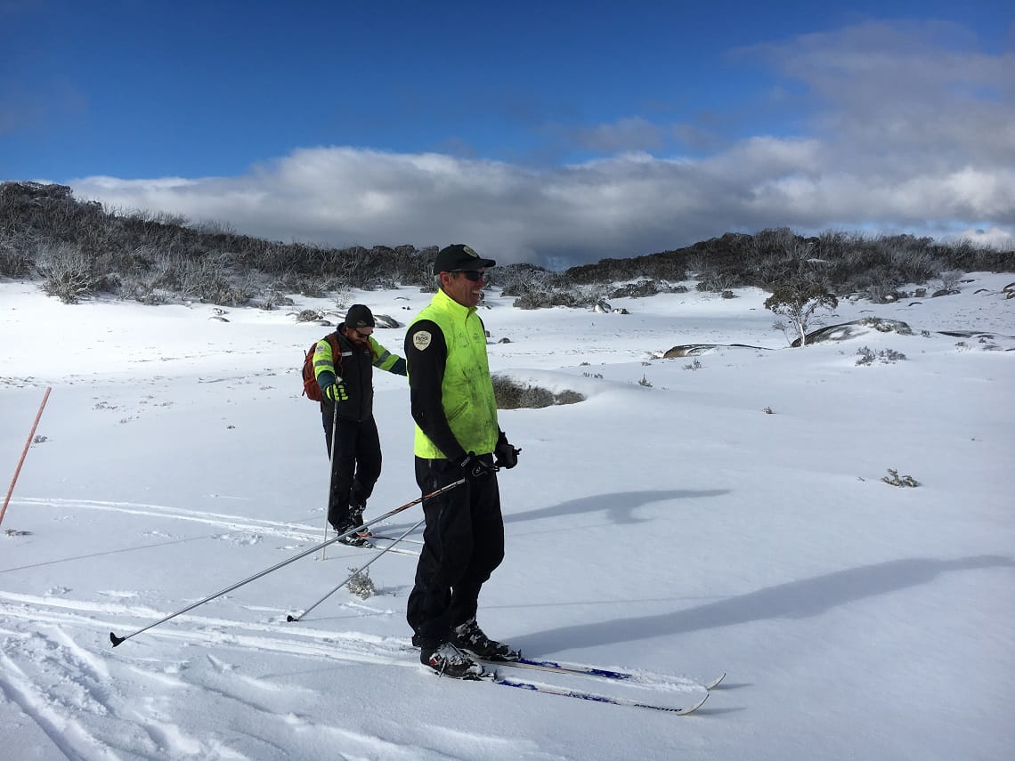 A park ranger wearing skis and a high vis vest on a snowy mountain slope