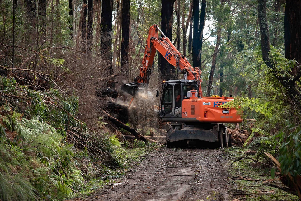 Dandenong Ranges National Park