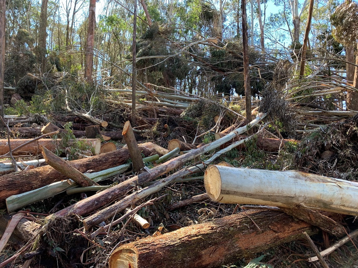 Macedon Ranges National Park