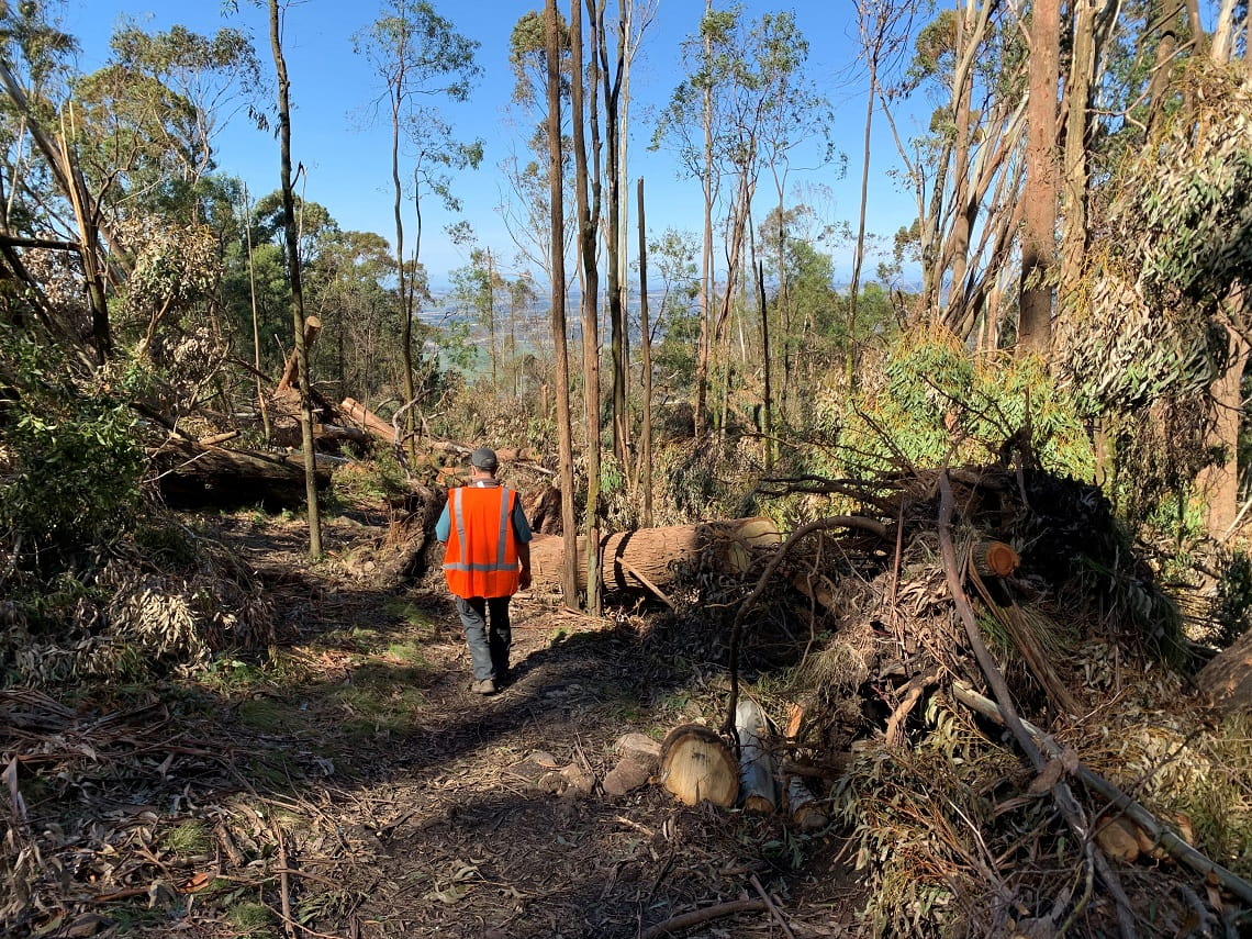 Macedon Ranges National Park